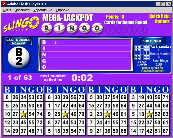 Bingoibpg