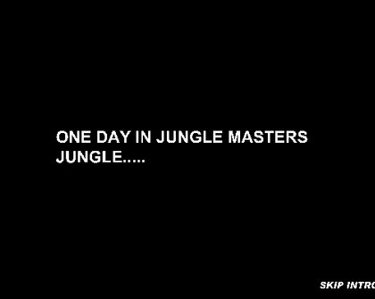 Jungle Master